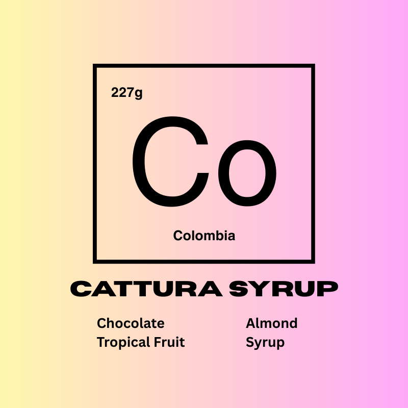 Cattura Syrup label with a gradient background and 'Co' symbol. Flavors of chocolate, almond, tropical fruit, and syrup.