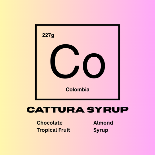Cattura Syrup label with a gradient background and 'Co' symbol. Flavors of chocolate, almond, tropical fruit, and syrup.