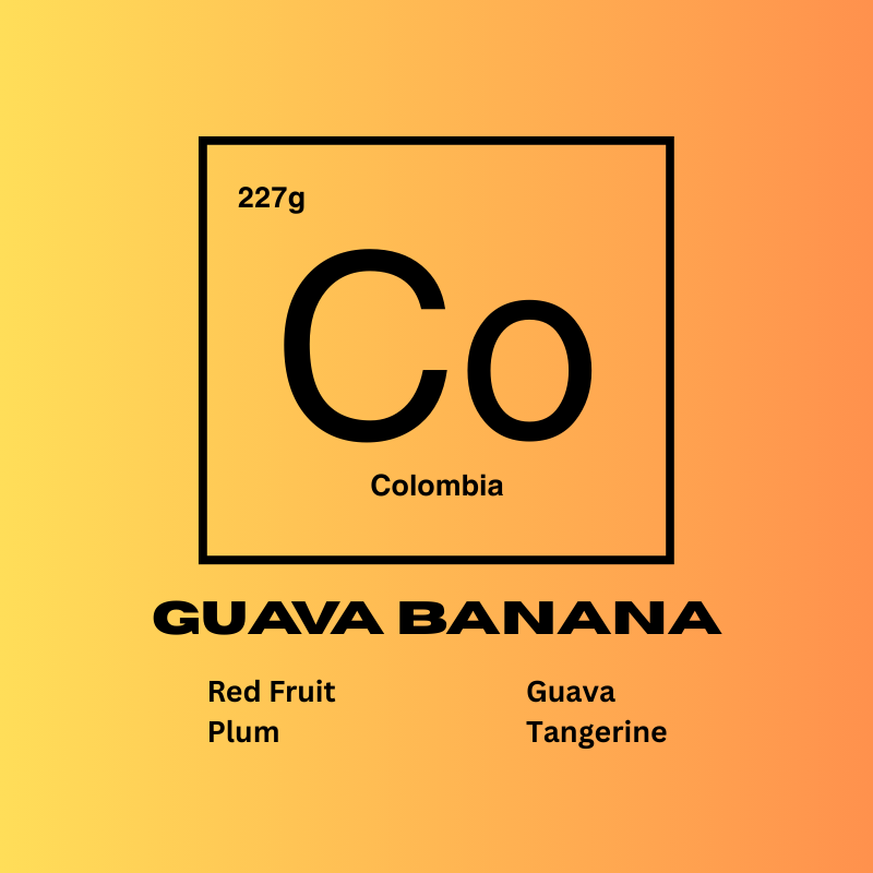 Coffee label with 'Co' for Colombia, 'Guava Banana' flavor description, and fruit components on a yellow and orange gradient background. Flavors of red fruit, plum, guava, and tangerine.
