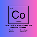 Fermented Honey Gesha - Juliana Guevara & Wbeimar Lasso