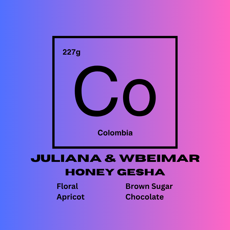 Fermented Honey Gesha - Juliana Guevara & Wbeimar Lasso