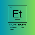 Product label with 'Et' for Ethiopia, brand name 'Tigist Boru', and flavor description on a gradient background. Flavors of raspberry, peach, and lime.